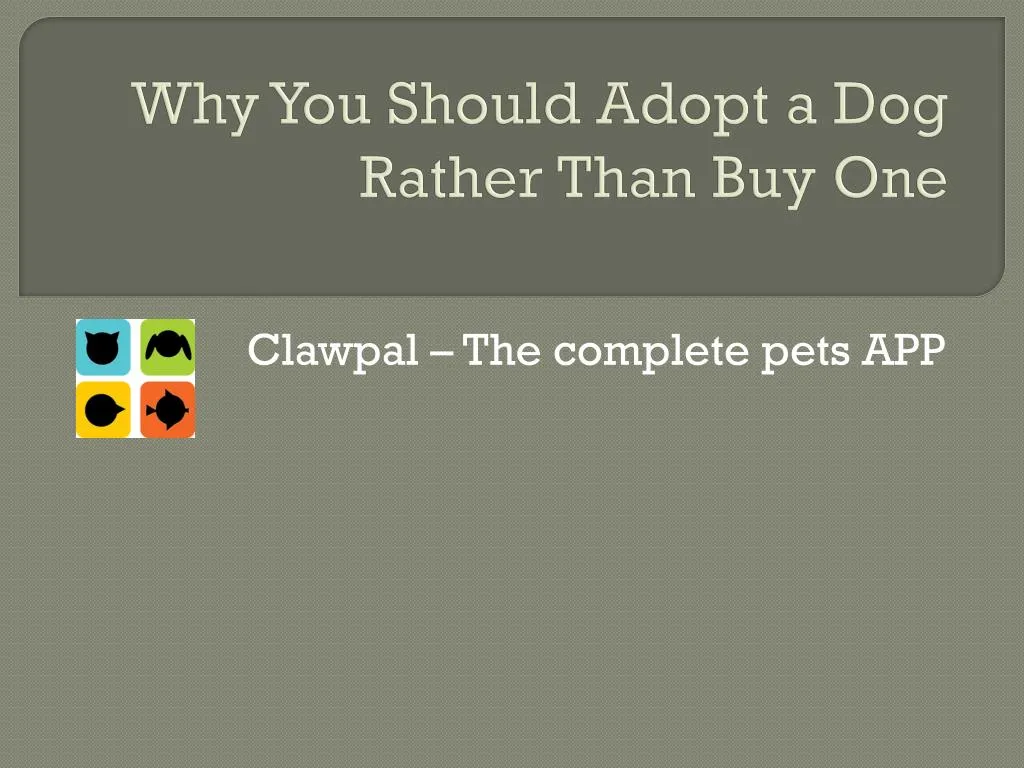 why you should adopt a dog rather than buy one