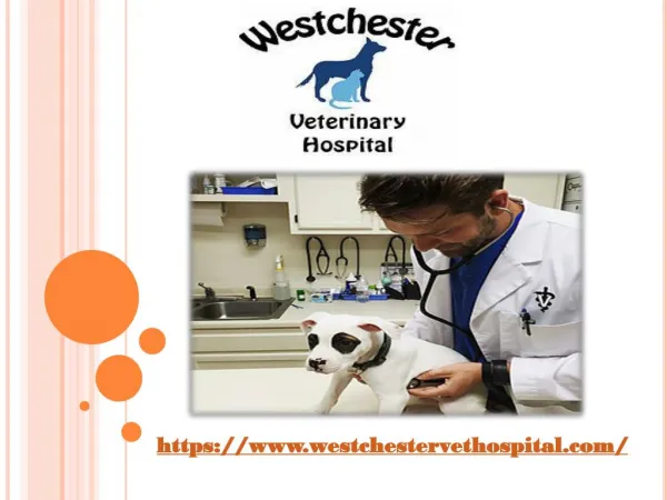 Westchester Veterinary Hospital