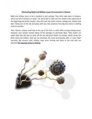 Mold and Mildew Remediation Services in Atlanta, GA - slide 1