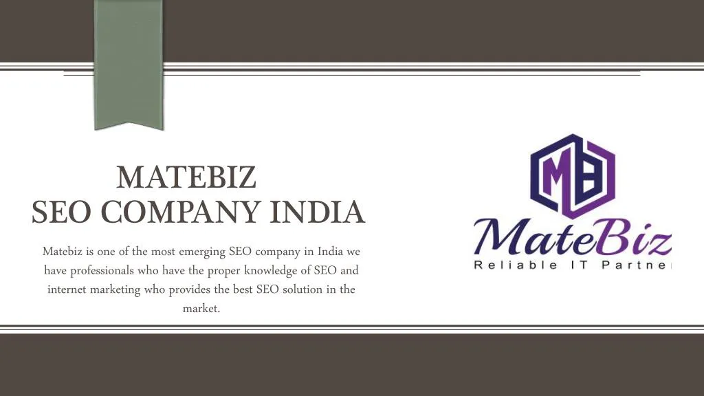 matebiz seo company india