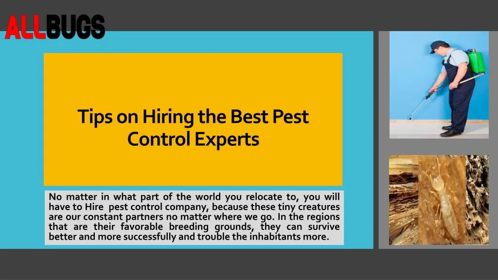 tips on hiring the best pest control experts