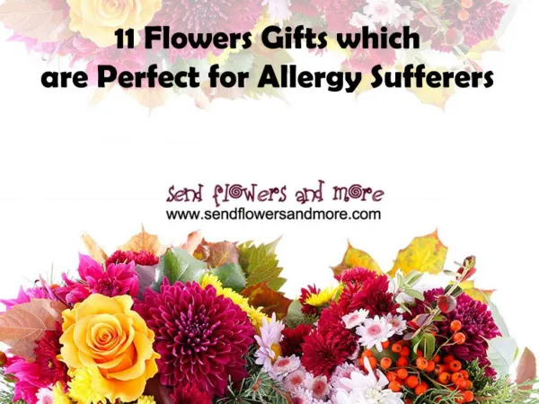 11 Flowers Gifts which are perfect for Allergy Sufferers