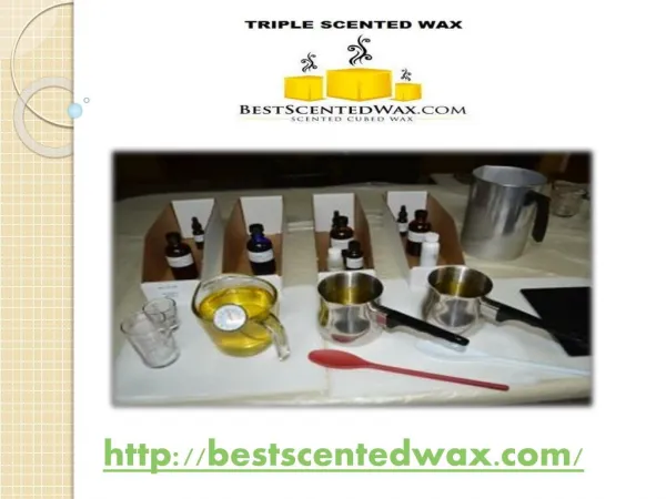 Ceder Fragrance Triple Scented Wax Melts
