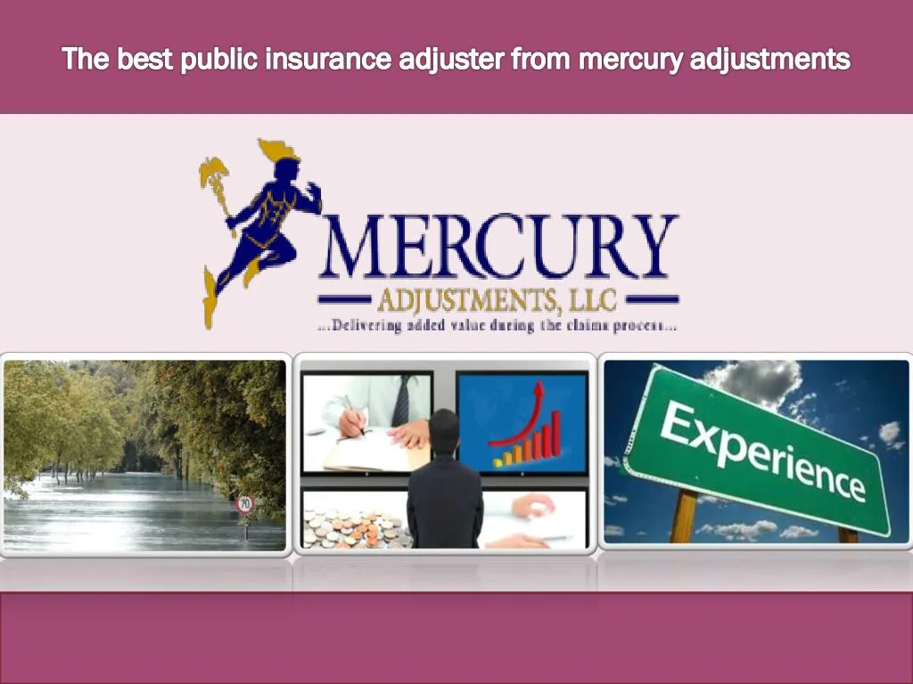 the best public insurance adjuster from mercury