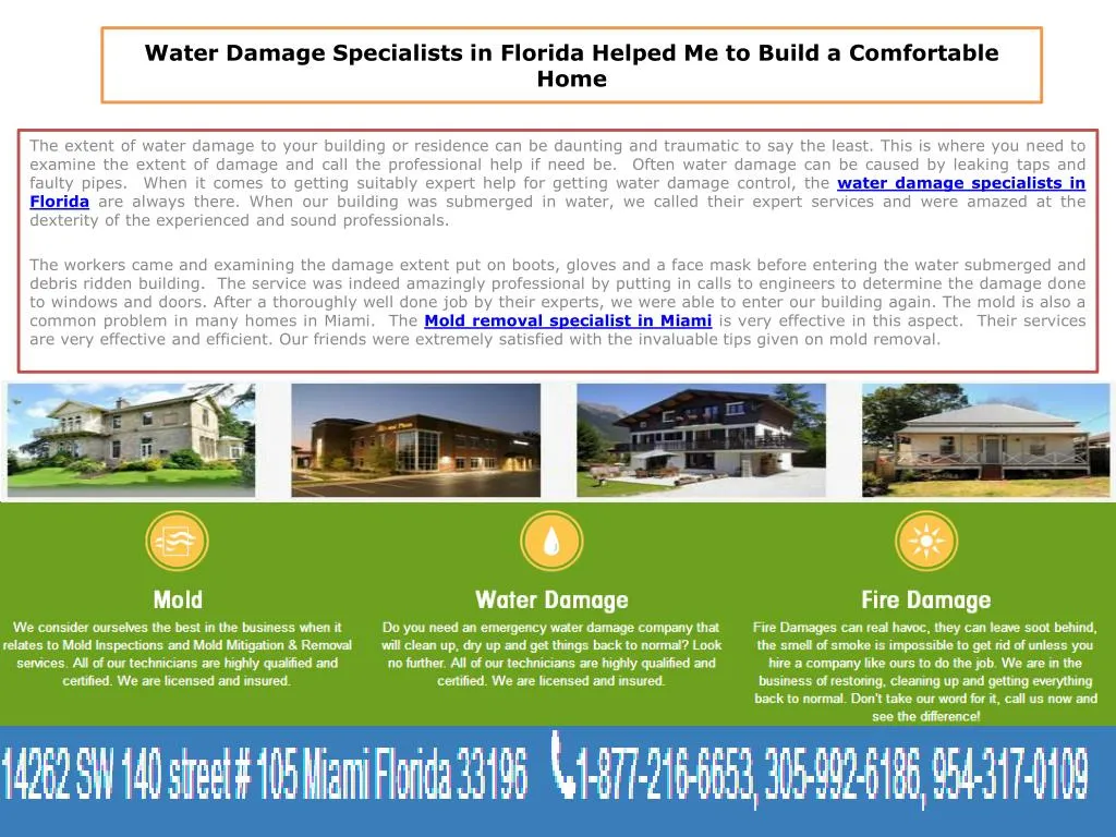 water damage specialists in florida helped