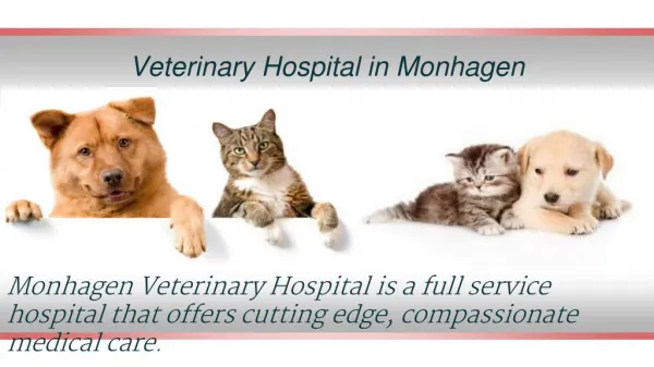 Veterinary Hospital in Monhagen
