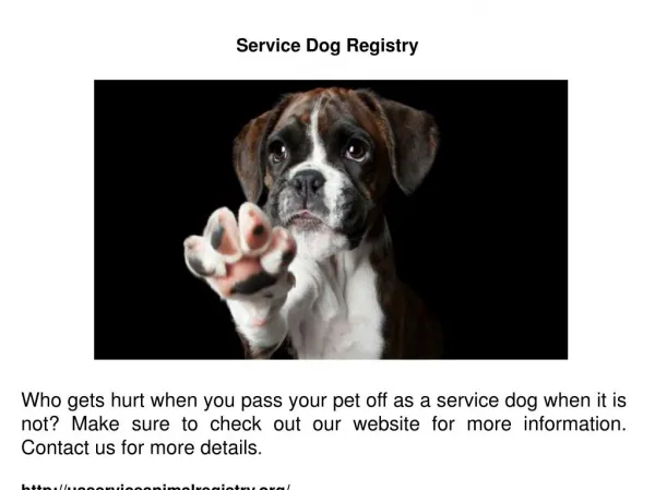 Service Dog Registry
