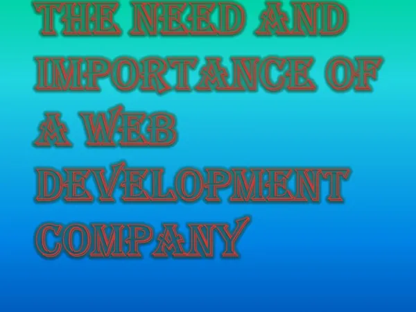 Importance of a Web Development Company