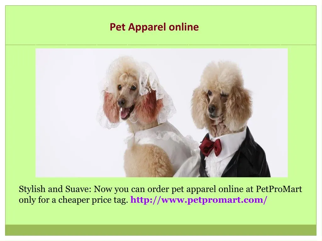 pet apparel online