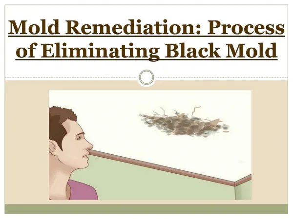 Mold Remediation - Process of Eliminating Black Mold