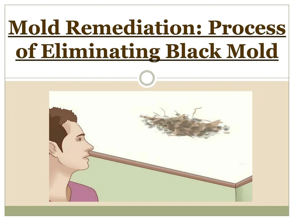 mold remediation process of eliminating black mold