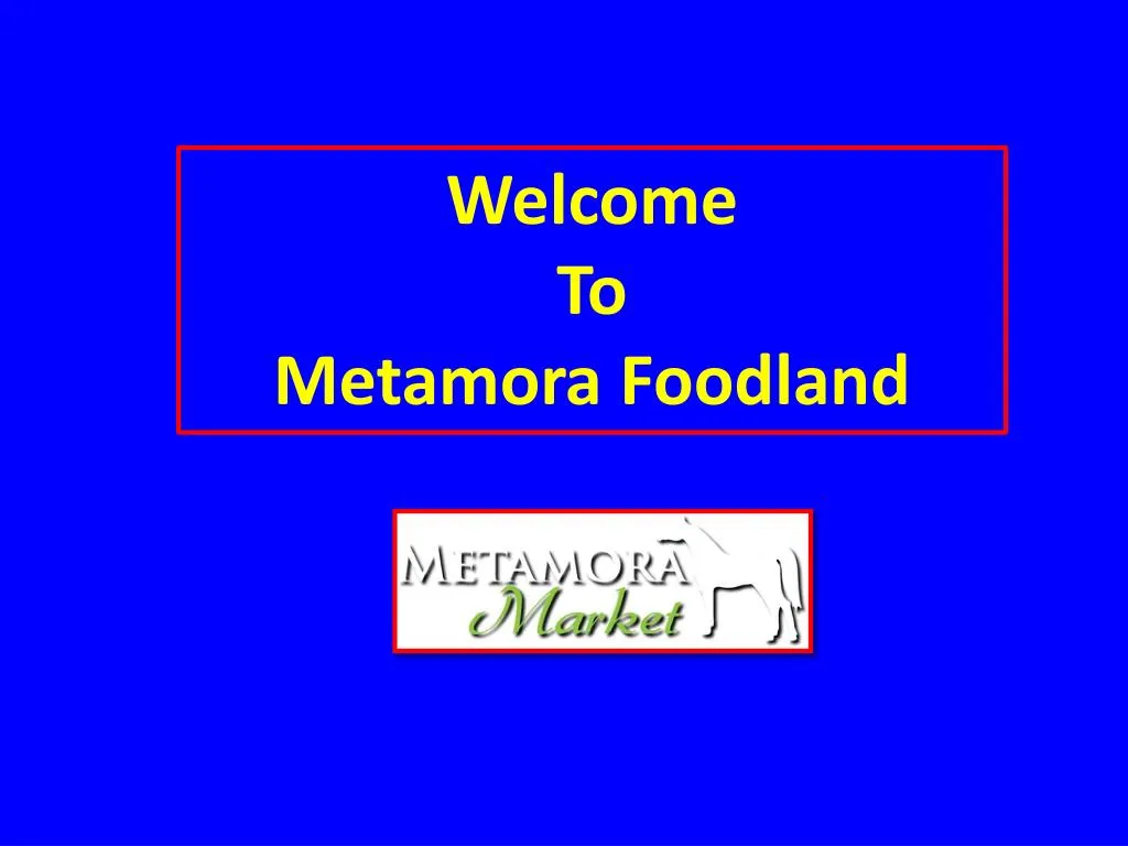 welcome to metamora foodland