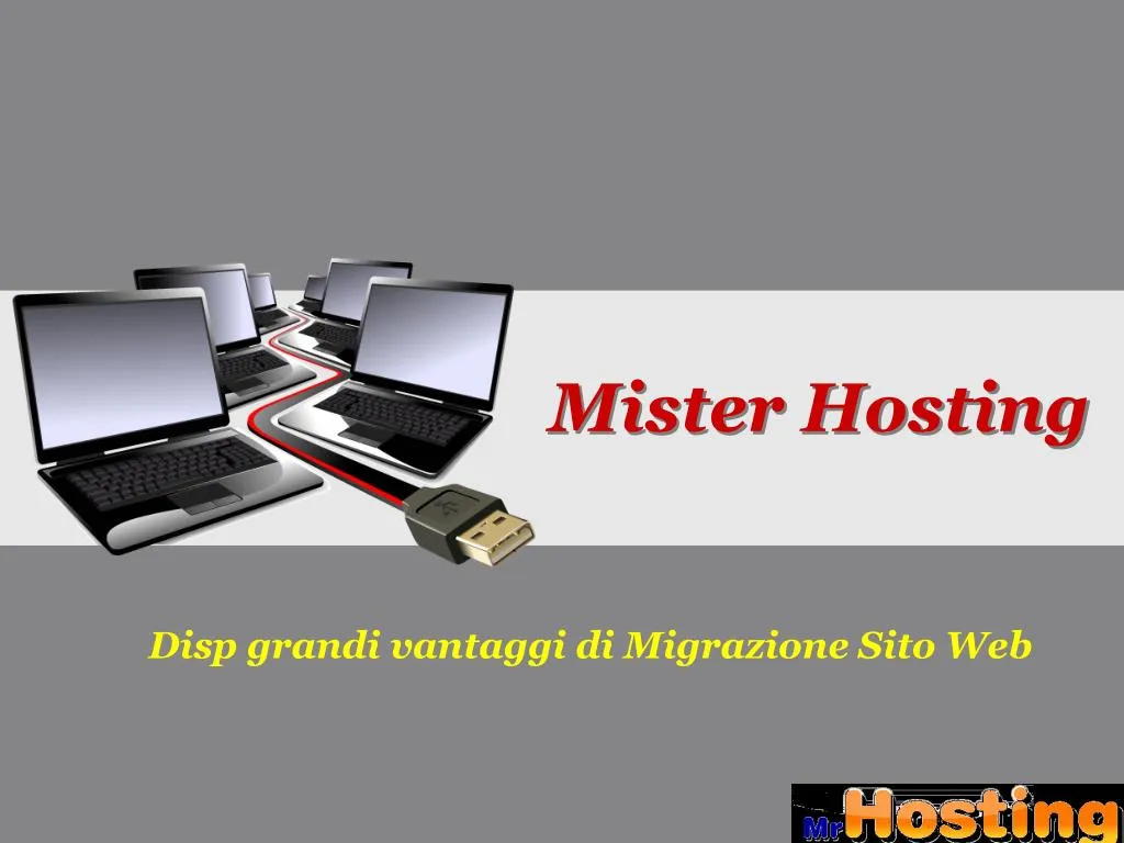 mister hosting