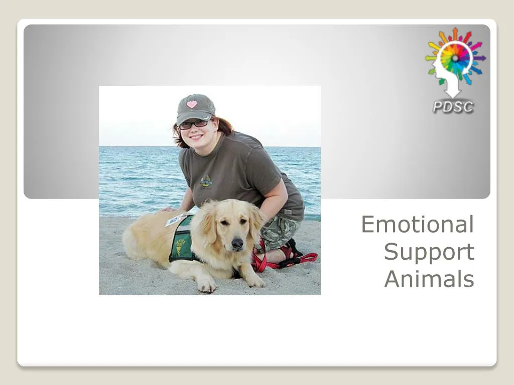 emotional support animals