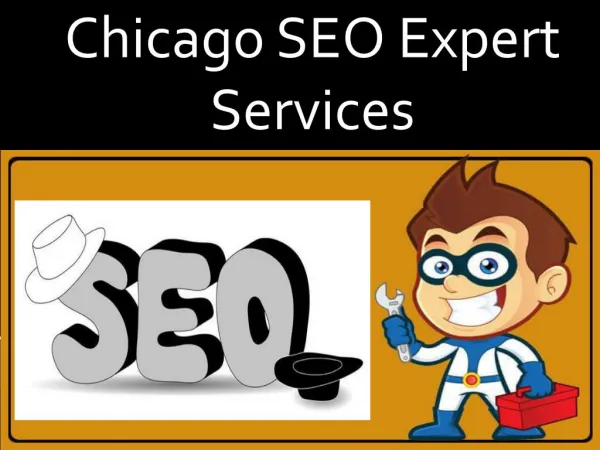 Chicago Seo Experts Services