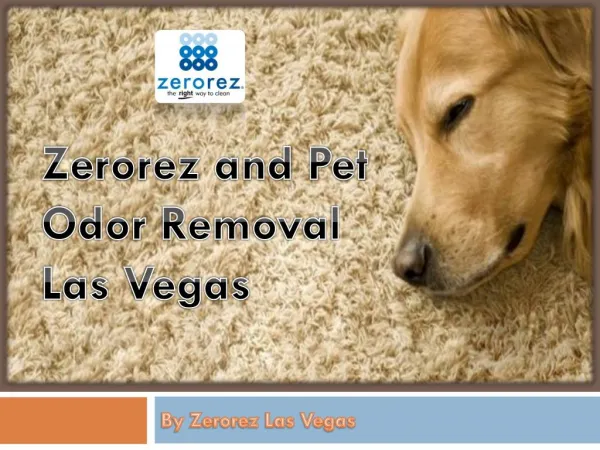Zerorez and Pet Odor Removal Las Vegas