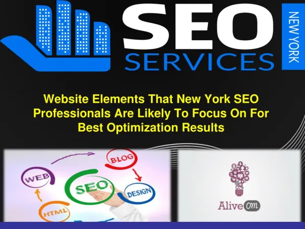 Site Components That New York SEO Professionals Are Probably going To Concentrate On For Best Optimization Results