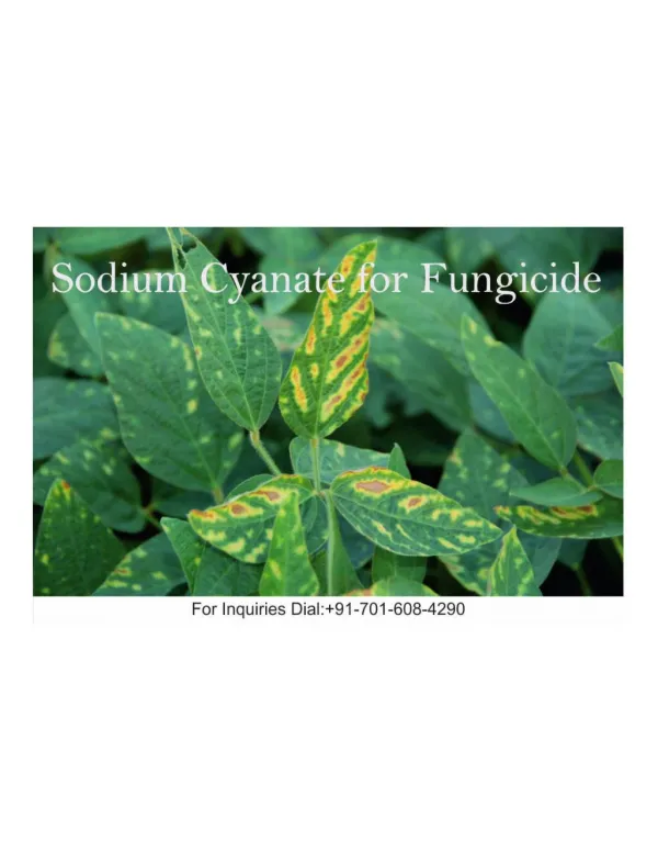 Sodium Cyanate for fungicide