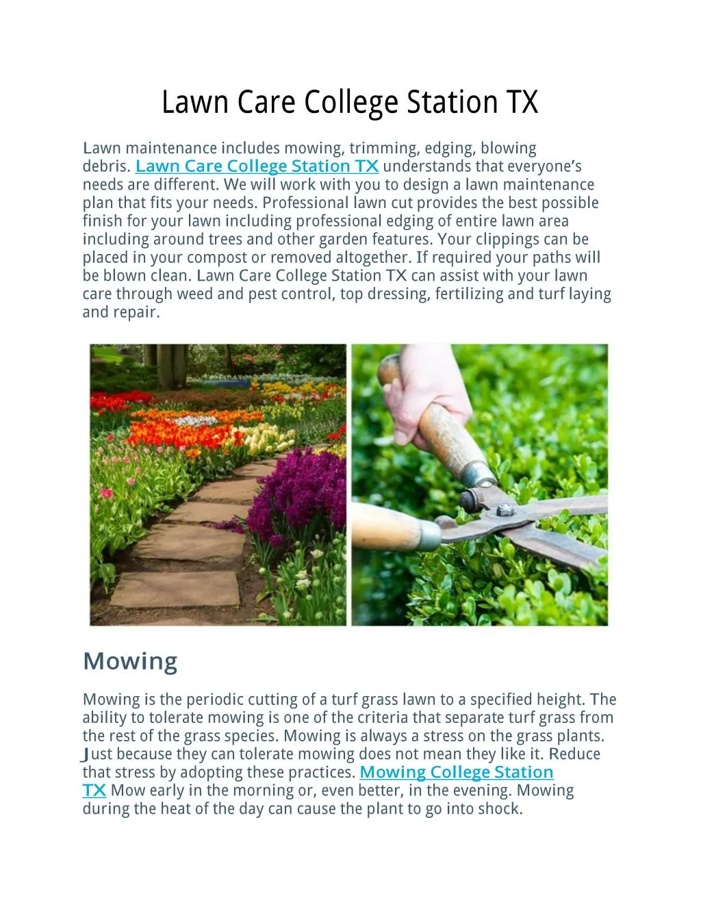 lawn care college station tx
