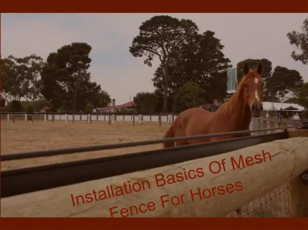 Installation Basics For Mesh Fence For Horses