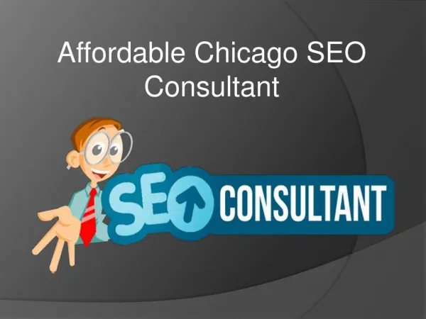 Affordable Chicago SEO Consultant