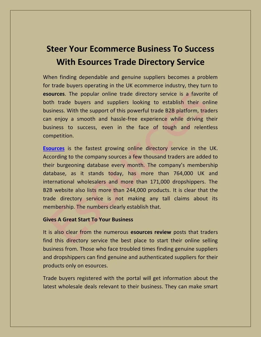 steer your ecommerce business to success with