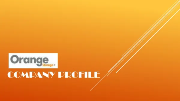 Orange Storage Company Profile