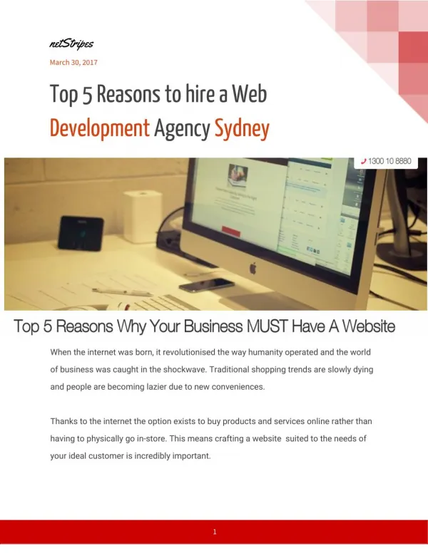 Top 5 Reasons to hire a Web Development Agency Sydney- netStripes