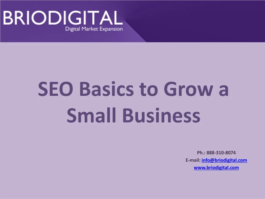 seo basics to grow a small business