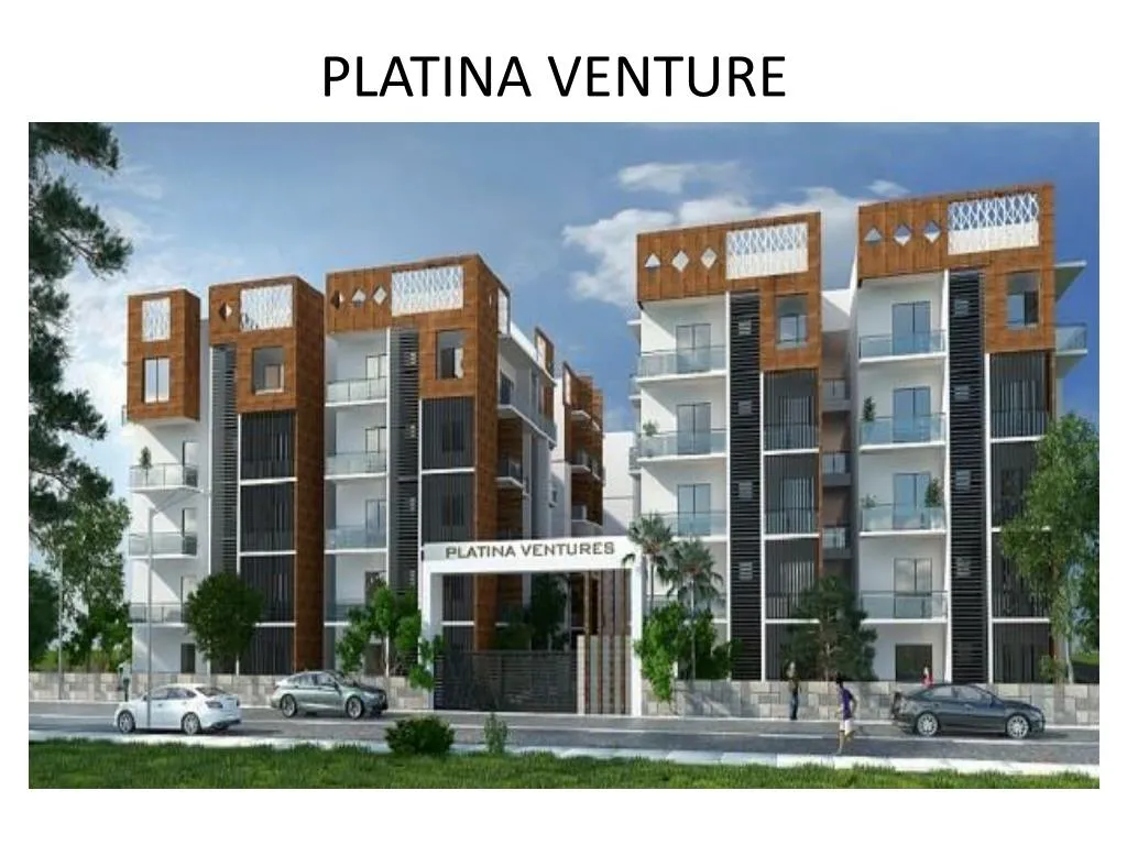 platina venture