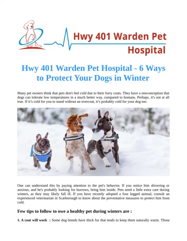 Hwy 401 Warden Pet Hospital - 6 Ways to Protect Your Dogs in Winter