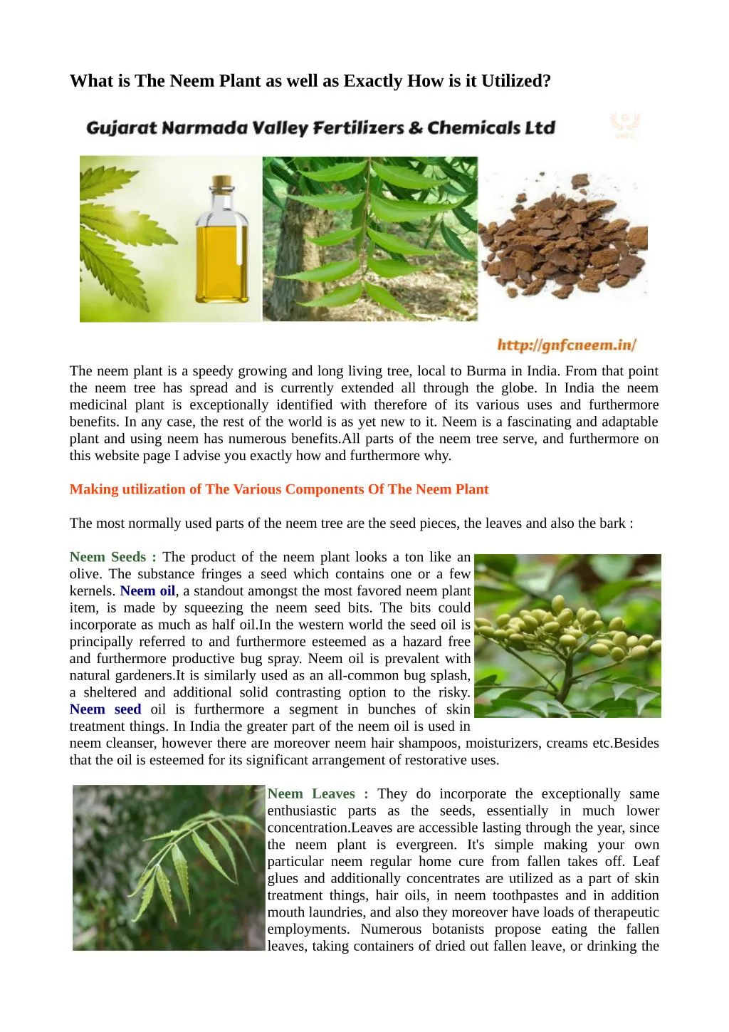 what is the neem plant as well as exactly