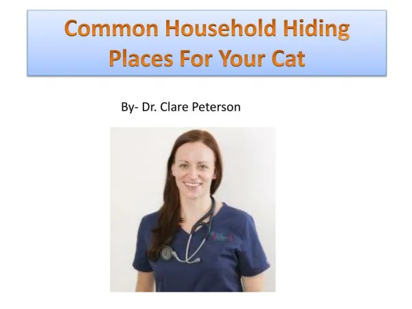 Common Household Hiding Places For Your Cat- Dr. Clare Peterson