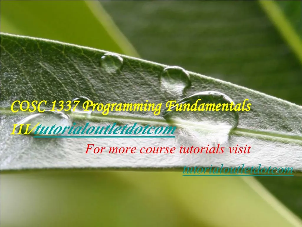 cosc 1337 programming fundamentals