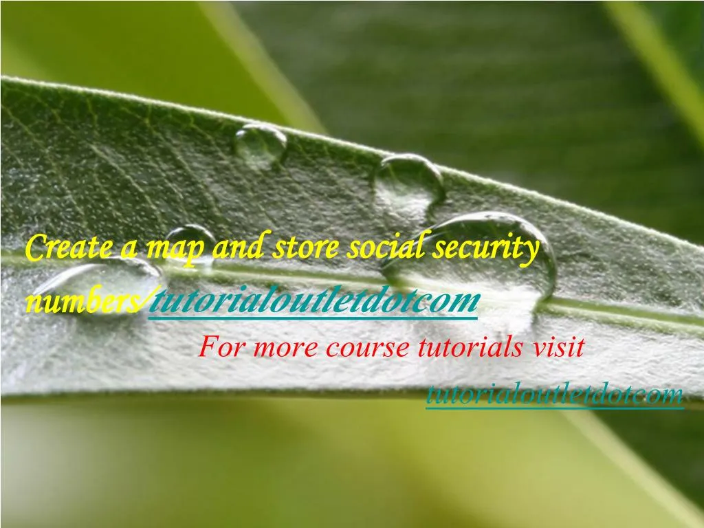 create a map and store social security numbers