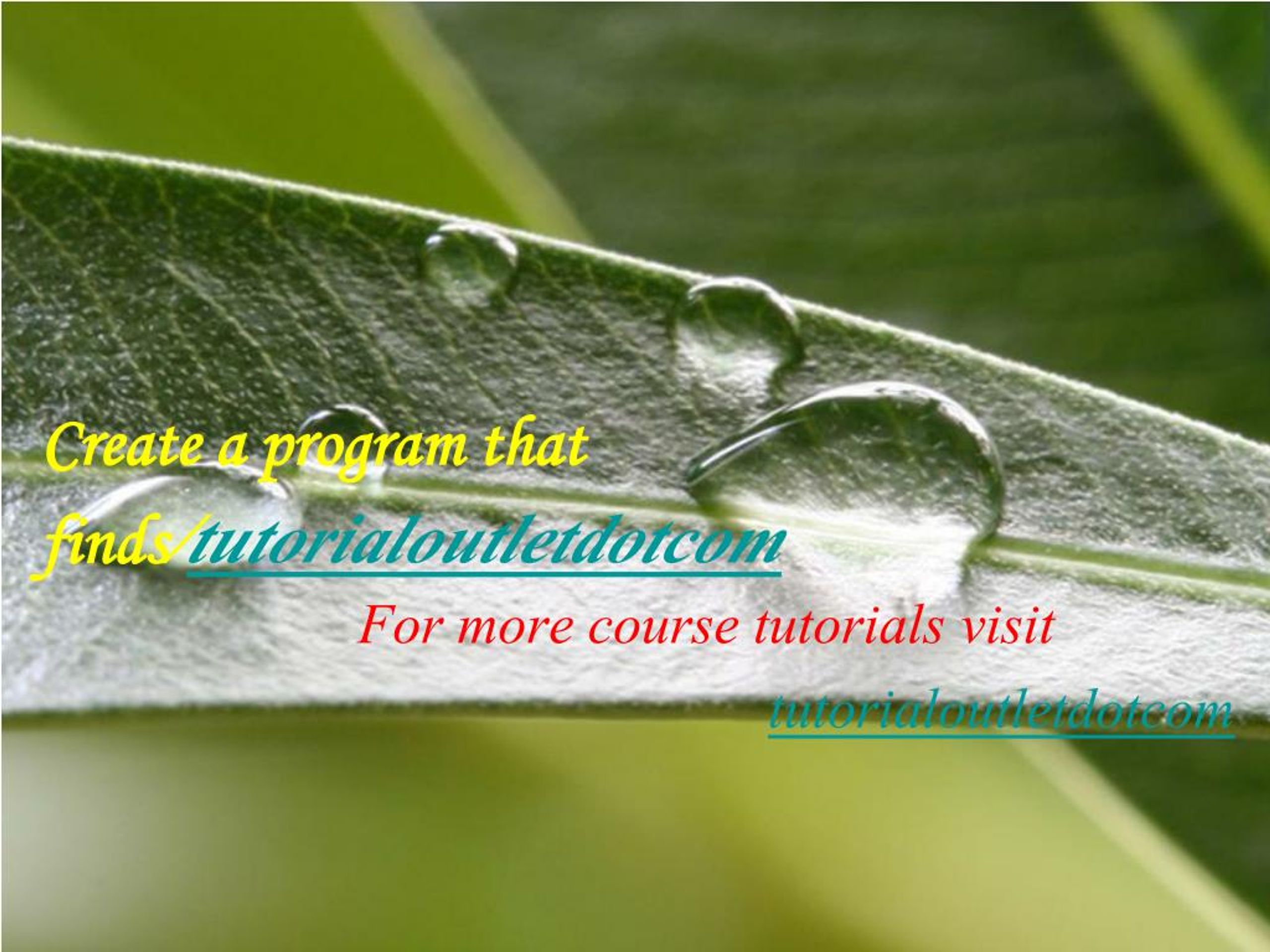 PPT - Create a program that finds/tutorialoutletdotcom PowerPoint ...