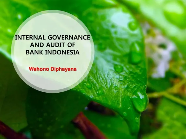 Internal Governance & Audit of Bank Indonesia