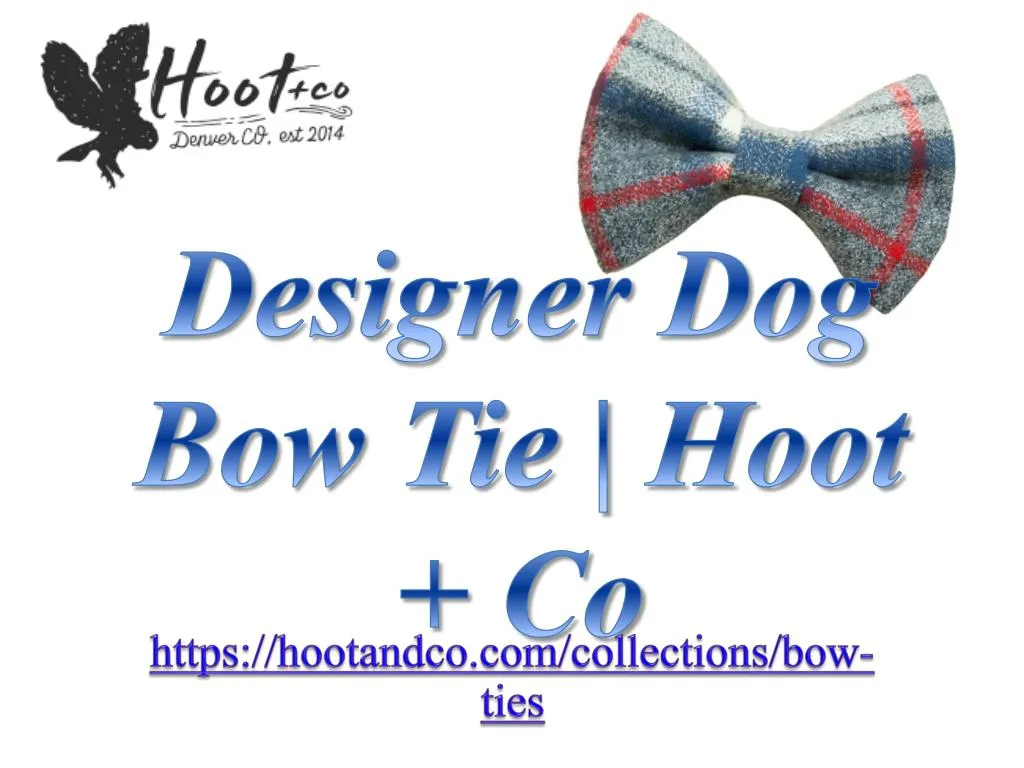 designer dog bow tie hoot co