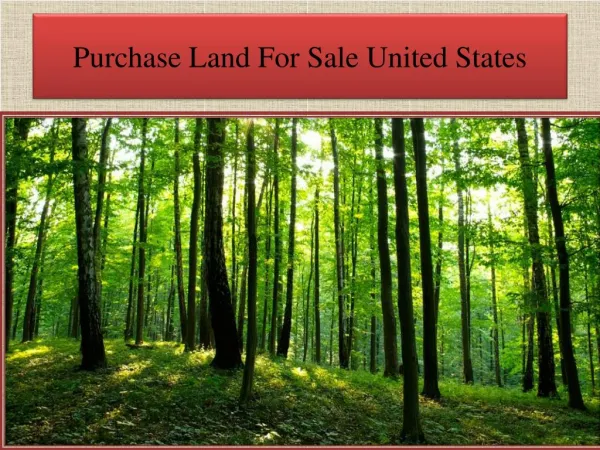 Purchase Land For Sale United States