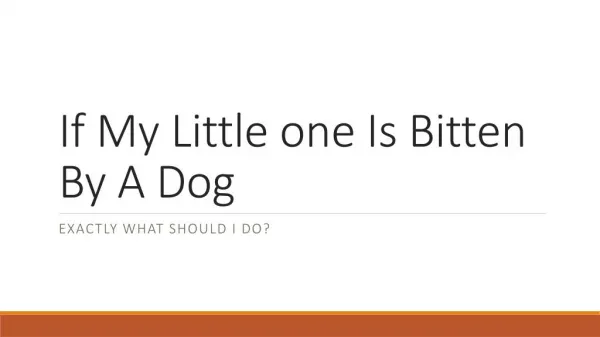 What Do I Do If My Child Was Bitten By A Dog