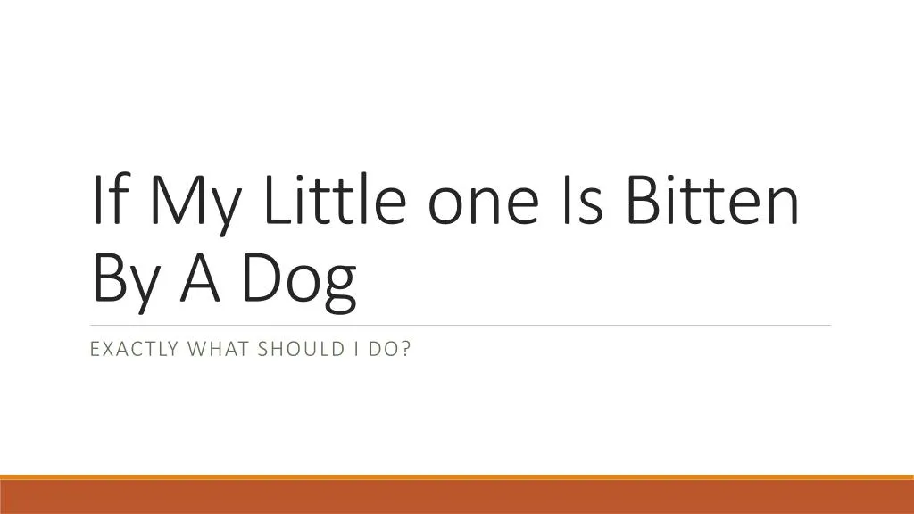 if my little one is bitten by a dog