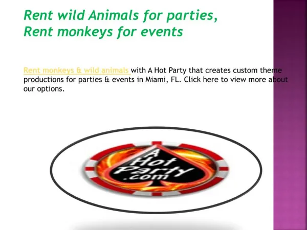 Rent Monkeys For Events