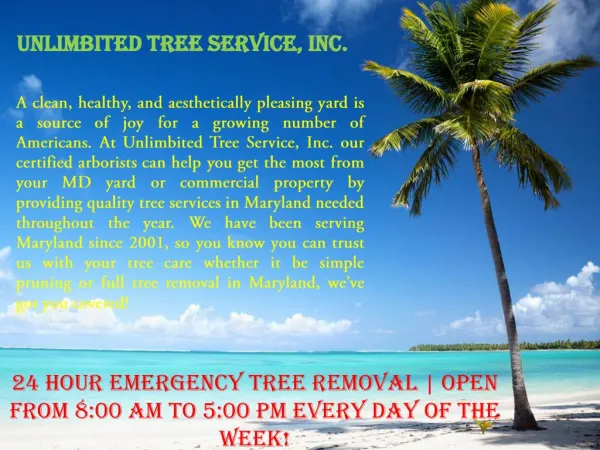Tree Removal Catonsville