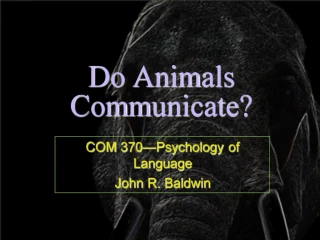 Do Animals Communicate - slide 1