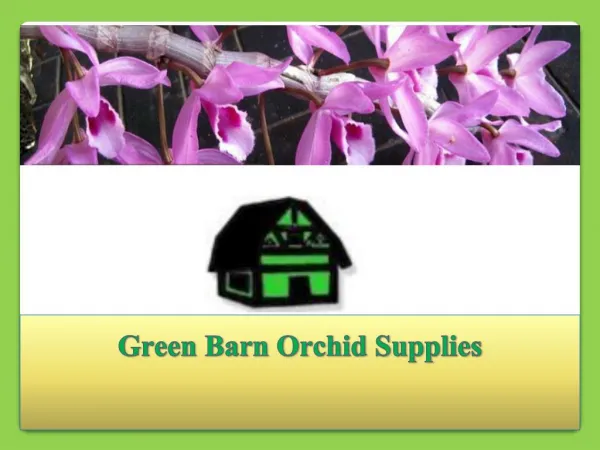 Orchid pots and Growing Media