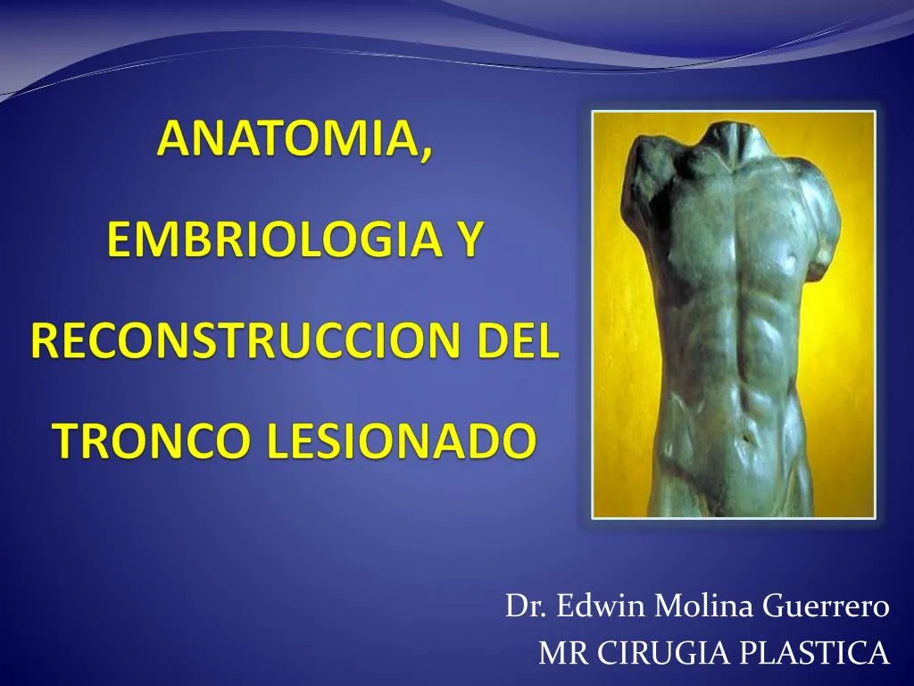 anatomia embriologia y reconstruccion del tronco lesionado