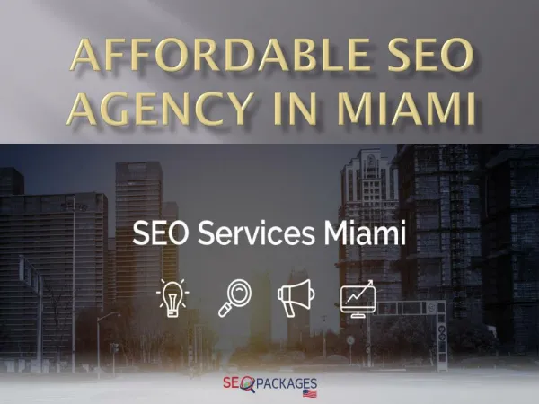 Affordable SEO Agency In Miami