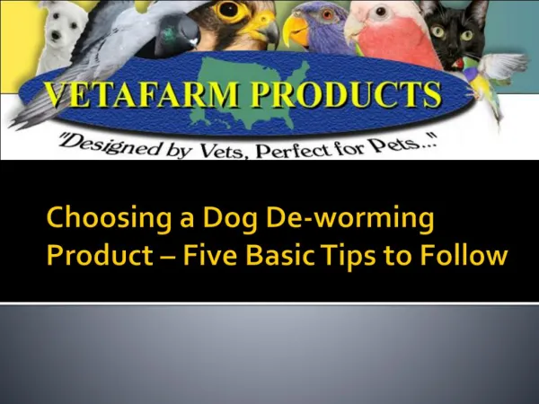 Choosing a Dog De-worming Product – Five Basic Tips to Follow