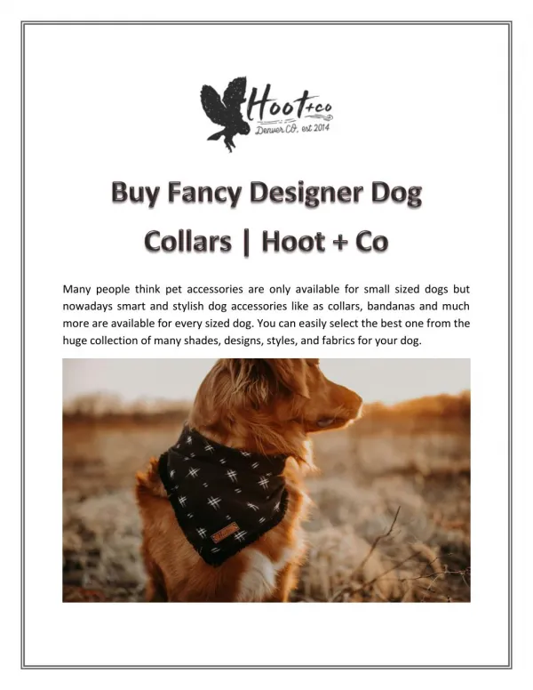 Buy Fancy Designer Dog Collars | Hoot Co