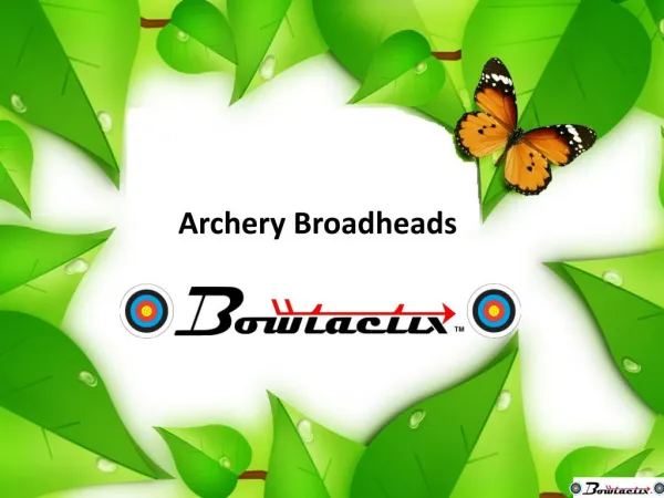 Archery Broadheads